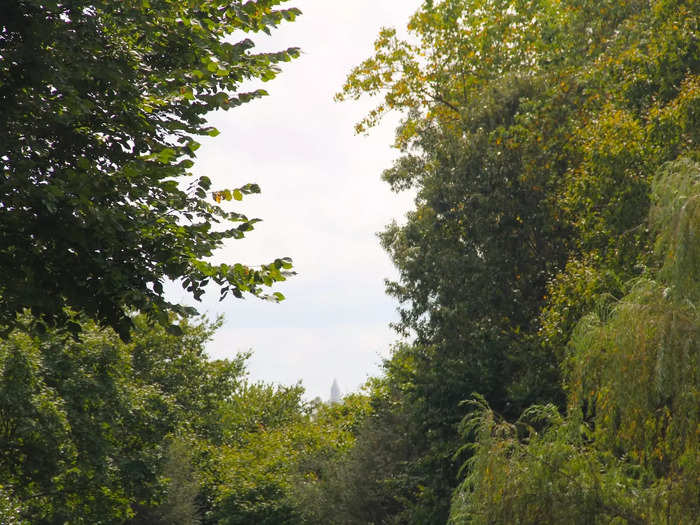 The top of the Washington Monument was just visible through the trees on the Lunar Lawn in the back of the house.