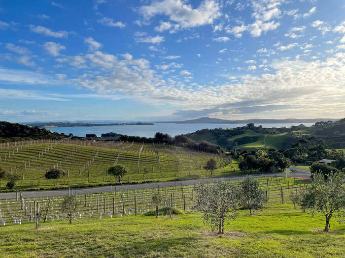 As I pulled into the parking lot, I understood why the winery entices such remarkable names. The vineyard had grand views overlooking Te Haruhi Bay.