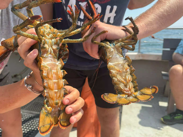 In his videos, Knowles educates viewers on commonly asked questions about lobstering.