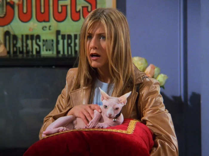 Rachel briefly had a pet cat.