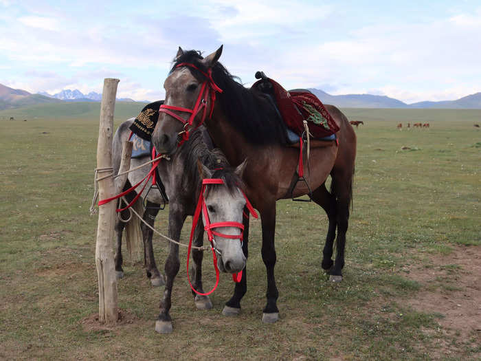 When we traveled to the more remote areas of Kyrgyzstan, we felt like we were in a different country.