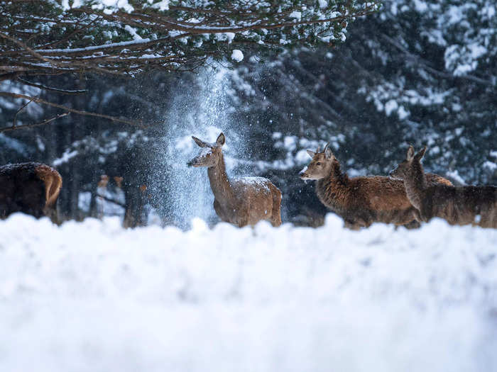 "Cold Shower" by Corentin Revel