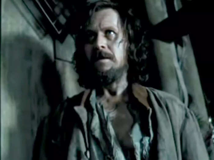 Gary Oldman appeared in the "Harry Potter" films as Sirius Black.