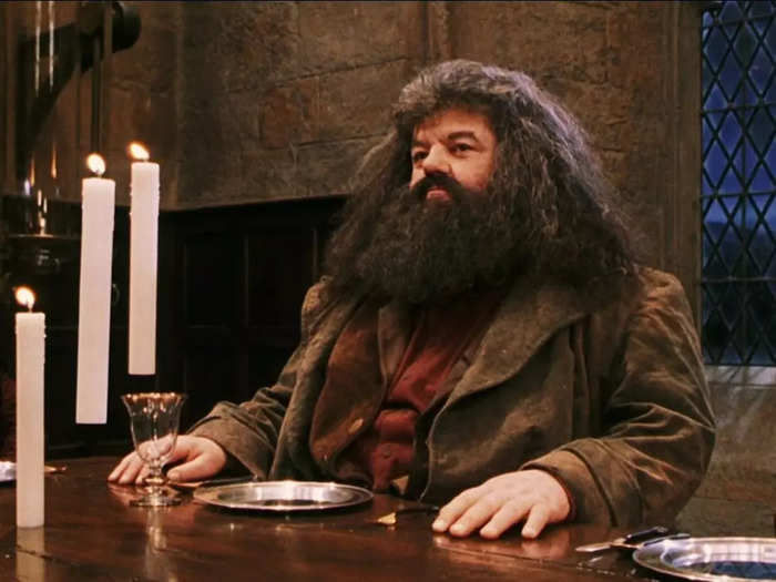 Rubeus Hagrid was played by Robbie Coltrane.