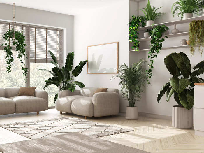 Biophilic design elements can elevate a home, especially for plant lovers.