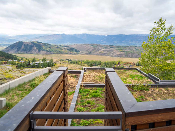 At the end of the patio, a gate leads to the living rooftop.