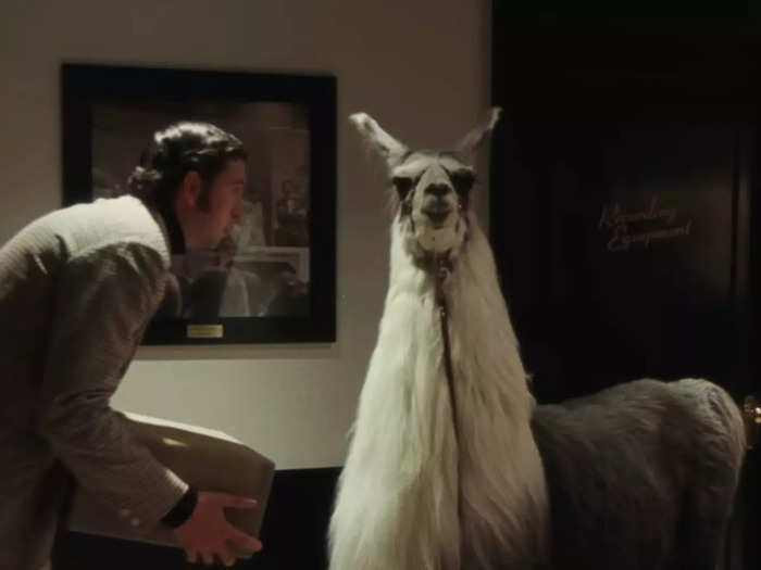 Fiction: Lorne Michaels ordered a llama for an opening night skit.