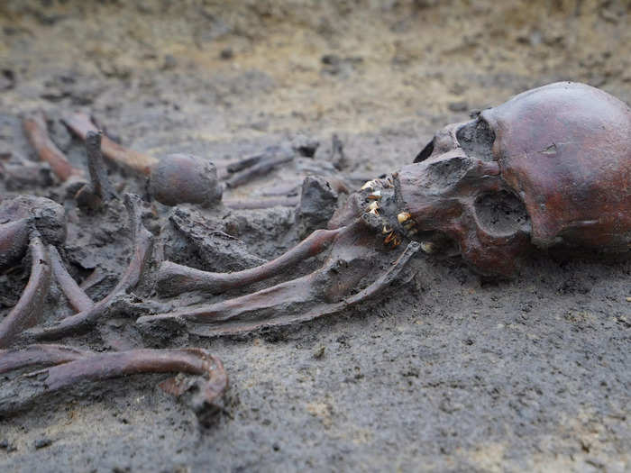 The skeletons’ DNA could also reveal more about the Vikings’ health and diets.