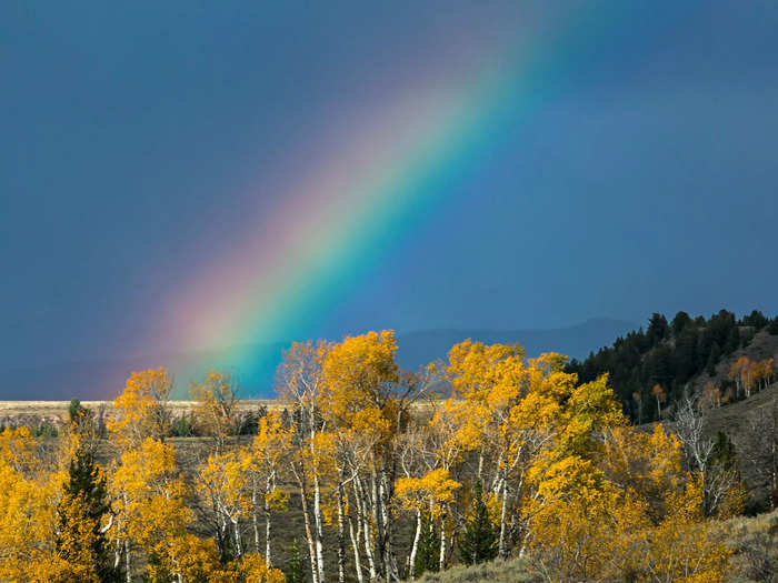 In Wyoming