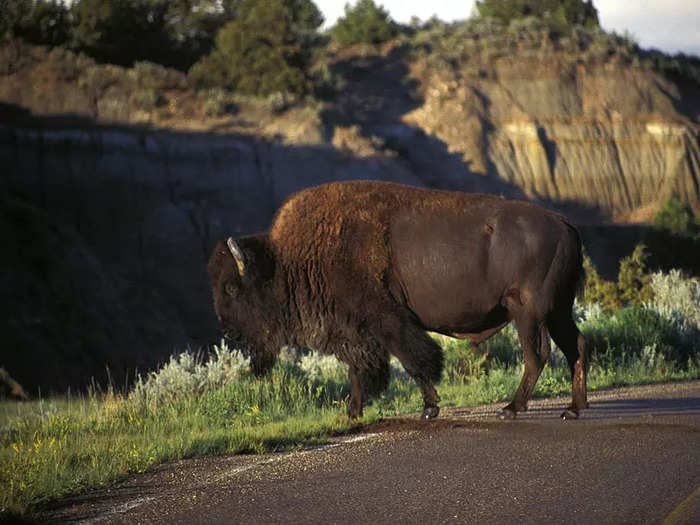 North Dakota