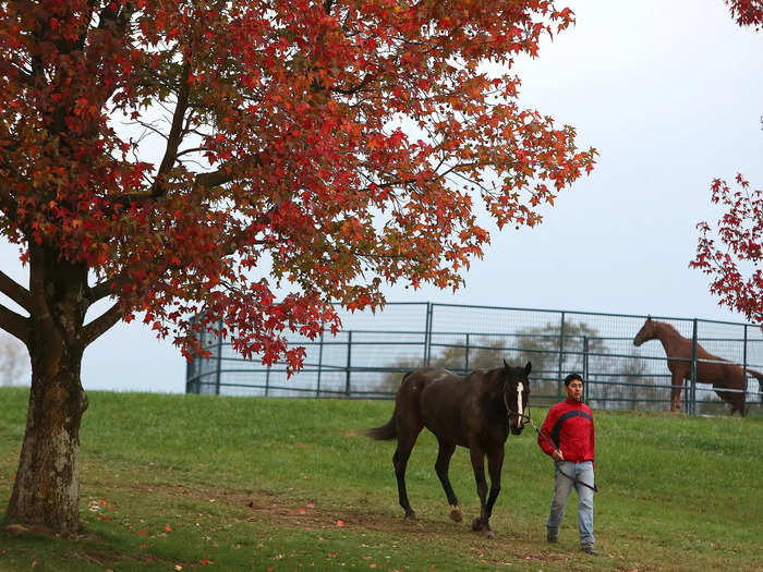 Horses race at the legendary Keeneland track in Kentucky every October.