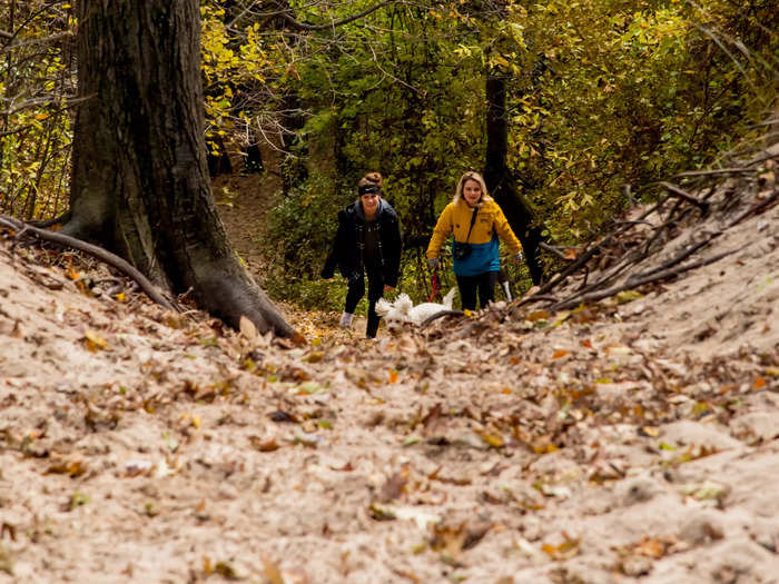 Crunchy autumn leaves cover Indiana