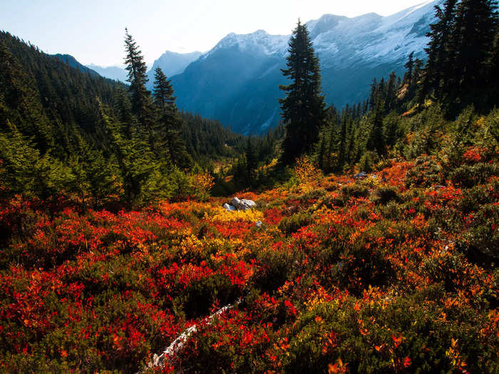 North Cascades National Park in Washington