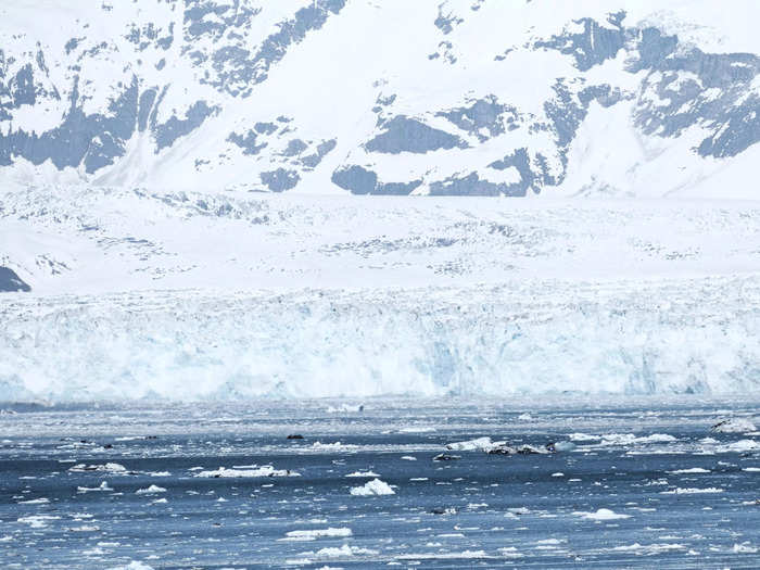 Everyone should experience Hubbard Glacier. 