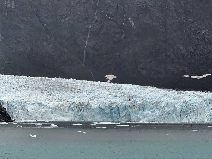 Glacier Bay is breathtaking. 