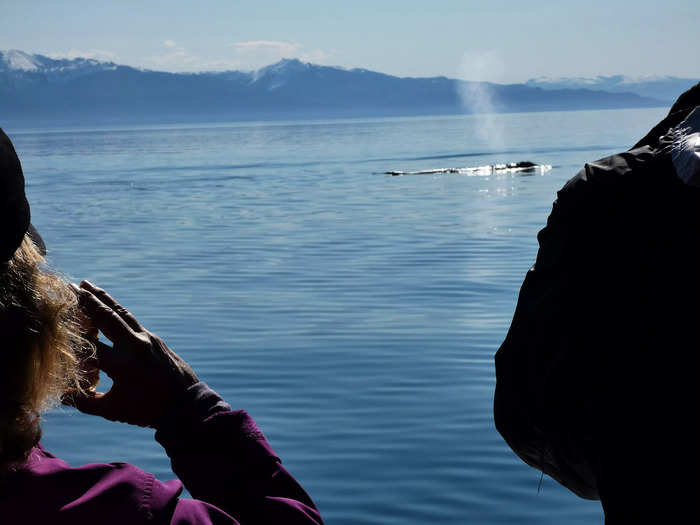 Icy Strait Point feels like an authentic Alaskan experience.