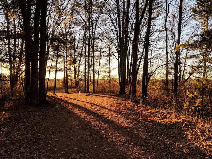 WISCONSIN: Boy Scout Lane