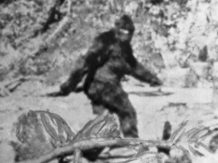 WASHINGTON: Bigfoot