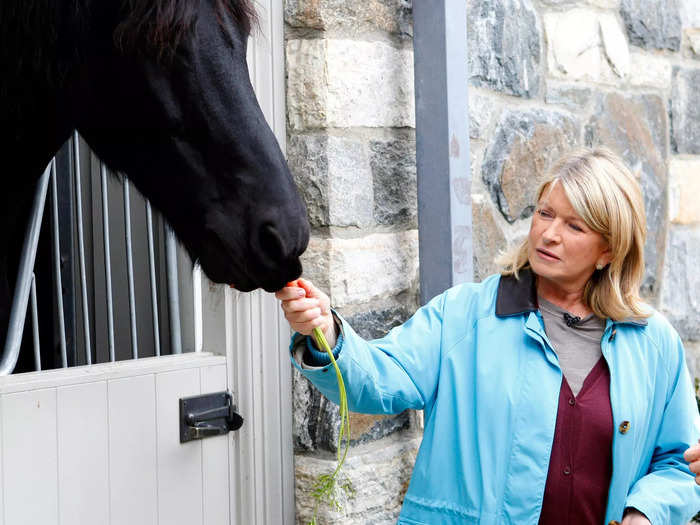 Stewart raises peacocks, chickens, cows, geese, miniature donkeys, pigeons, and horses on her farm in Bedford.