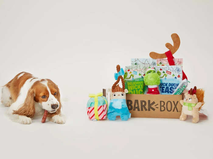 BarkBox