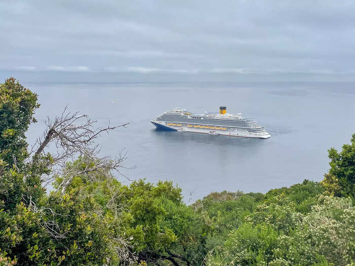 First-time cruisers often book shorter voyages. 