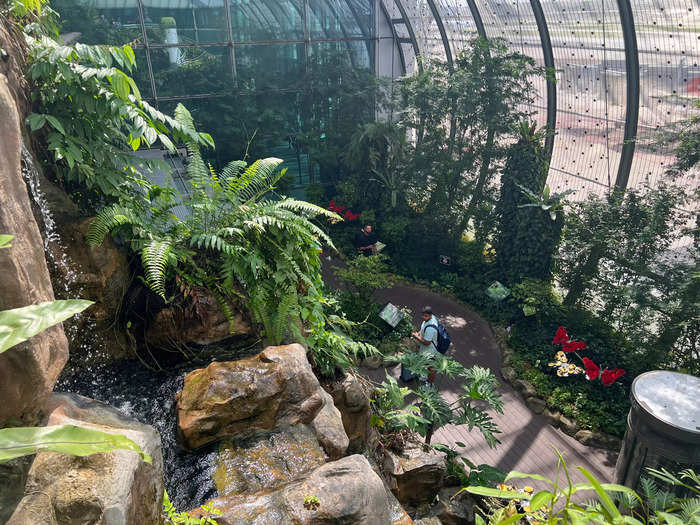 Changi houses 1,000 live butterflies.