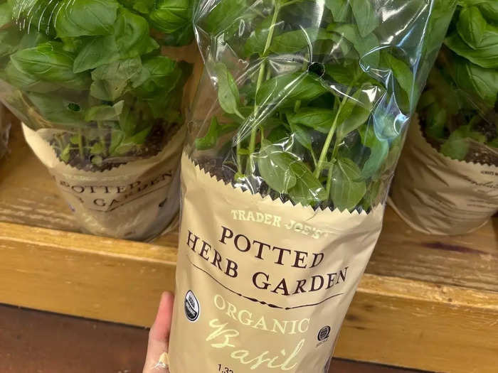 Trader Joe