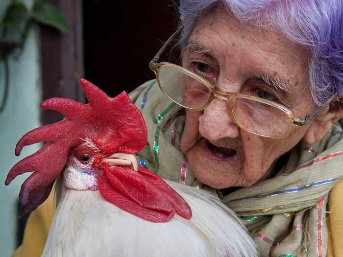 Habaneros think of having a purebred dog as a symbol of wealth, but Cubans in general love pets. This older woman talks to her pet rooster.