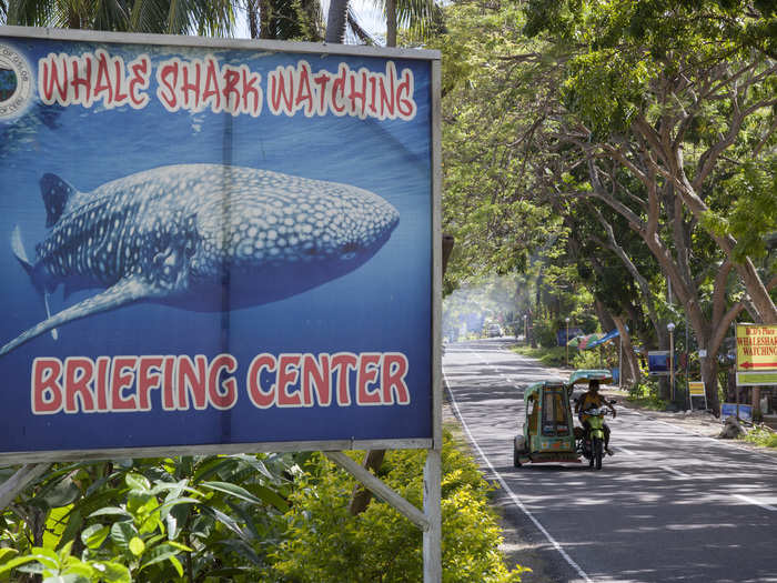 Travelers come to this tropical location expecting to swim with and feed whale sharks, the biggest fish and shark in the sea.