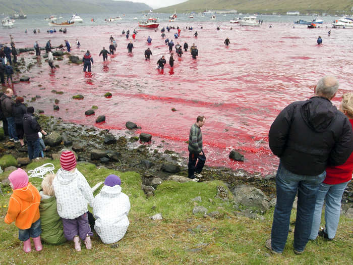 The mass slaughter turns the water into a dramatic sea of red.