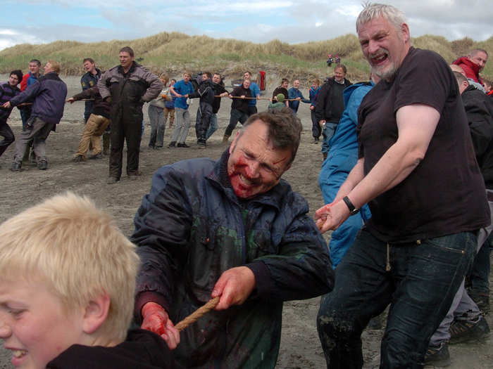 Whales that do not beach themselves must be dragged to shore using ropes.