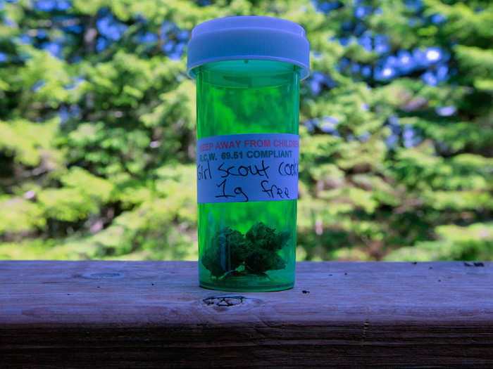 To compete, Will finds plants like the High Times 2013 Cannabis Cup winner "Girl Scout Cookie" to clone.