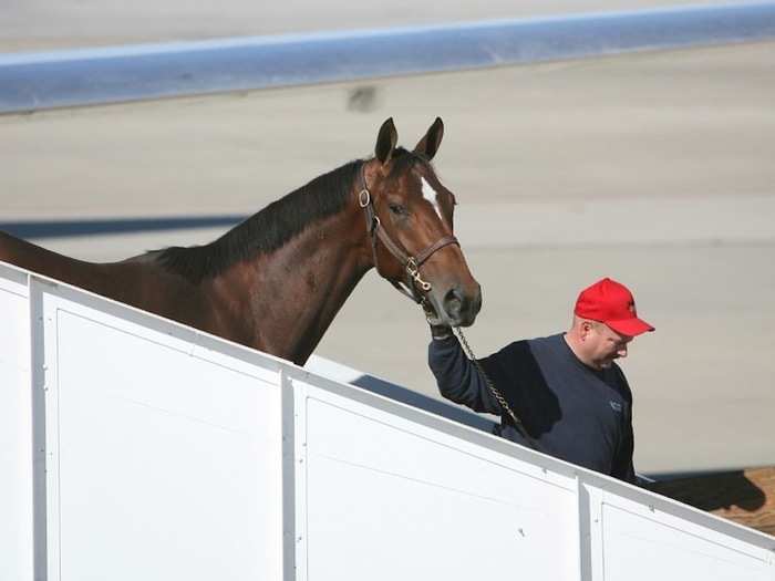 Custom designed walk-on ramps ensure that the horses never have to set foot on the tarmac.