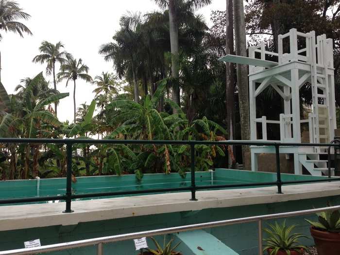 Broad-leaf banana trees planted around the pool provided shade and blocked people from looking in from the river.