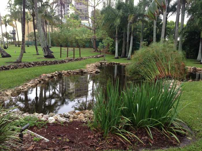 An aquatic pond collected water run-off from the pool. The pond is flanked by Mrs. Edison