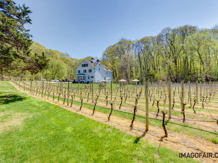 Seen here is one of two impeccably-maintained vineyards that grace the property. Together both vineyards produce over 750 cases of wine each year.