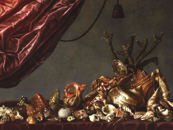 But collecting stuff in general — from art to sea shells — was already big when Tulips began popping up in Europe.