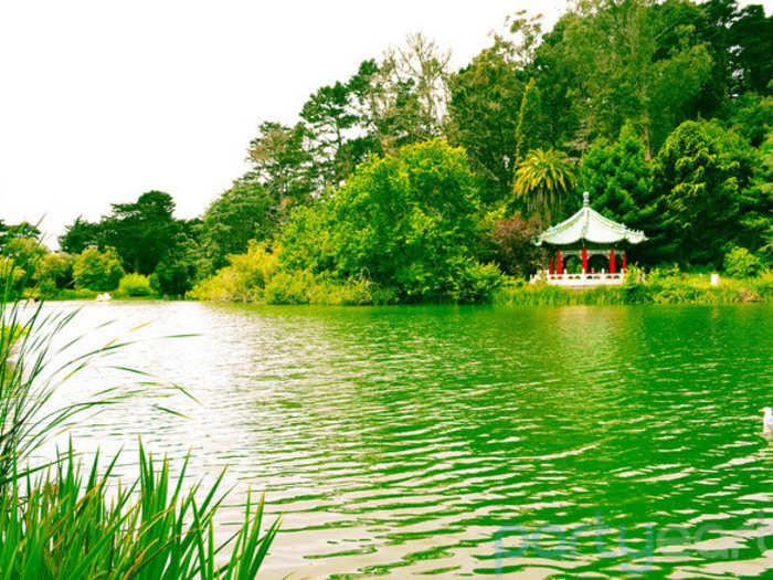 Golden Gate Park, San Francisco