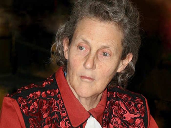 Temple Grandin teaches livestock handling at Colorado State.