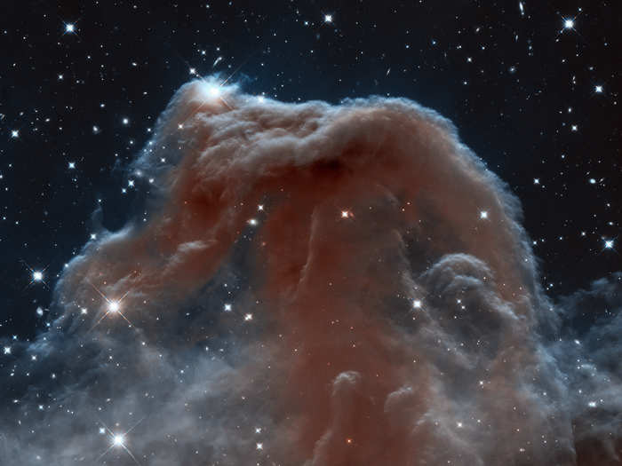 "A Horsehead of a Different Color" shows a dark dust cloud (i.e. nebula) against a backdrop of glowing hydrogen gas in the constellation Orion.