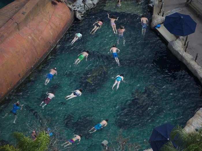 The shark reef at Disney