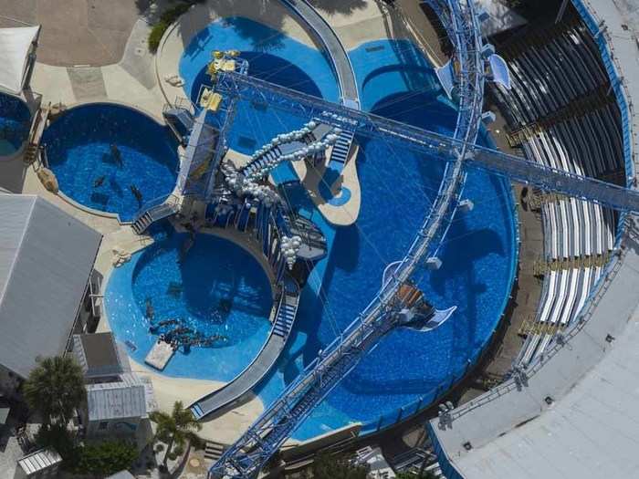 The whale and dolphin stadium is one of the main attractions at SeaWorld Orlando and is home to the Blue Horizons theatrical show featuring dolphins, birds and acrobats.