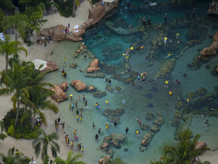 Owned by SeaWorld, Discovery Cove is a park where guests can swim with dolphins and interact with other marine animals including tropical fish and rays.