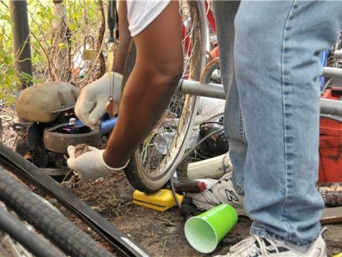 The parasite can lead to meningitis in humans if someone who has handled a snail or come into contact with a fresh slime trail puts their hand near their mouth.