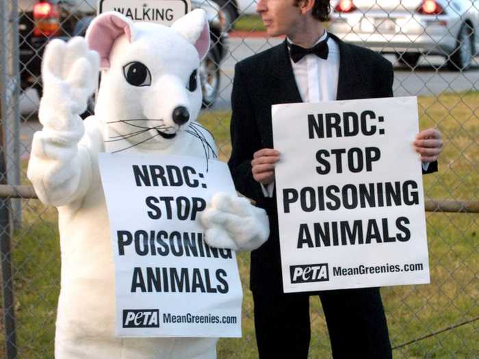 The company still faces some controversy: PETA accused the brand of animal testing.