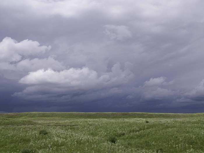 The famous Kaema-gowon plateau aka "roof of Korea" in Yanggangdo, DPRK.