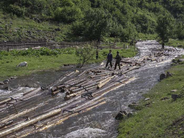 Loggers sending timber down a stream near the Baekdu Daegan in Eunheung-gun, Yanggangdo, DPRK.