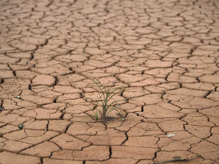 The soil on an old rare earths site lies parched and cracked.