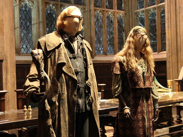 And Mad Eye Moody and Professor Trelawney.