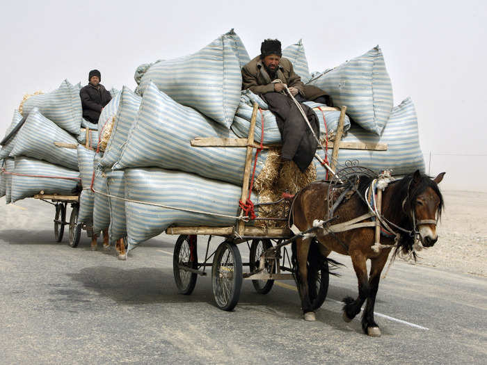 Two men on horse-drawn carts transport hay through a sandstorm in China.